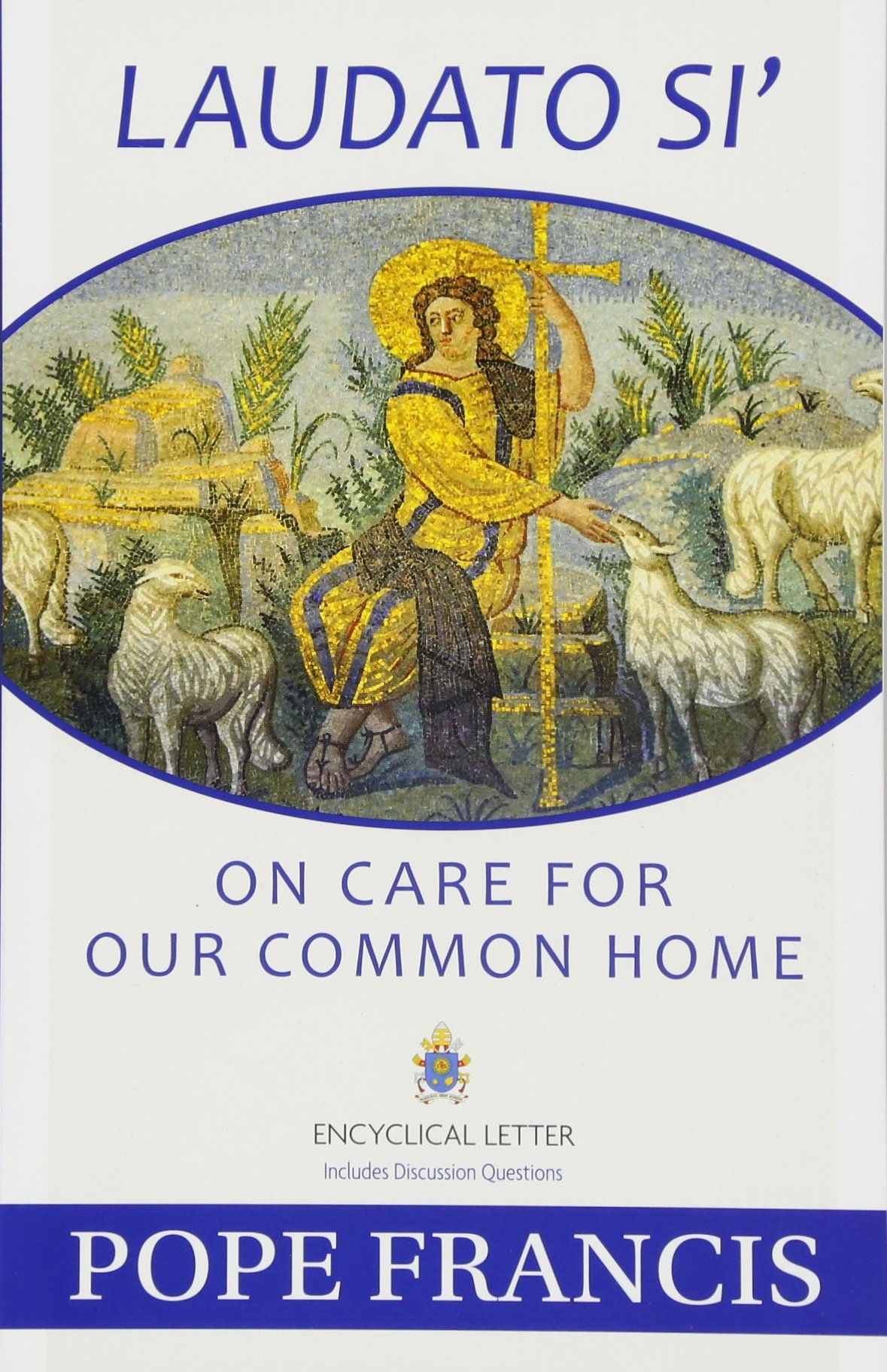 Laudato Si book image