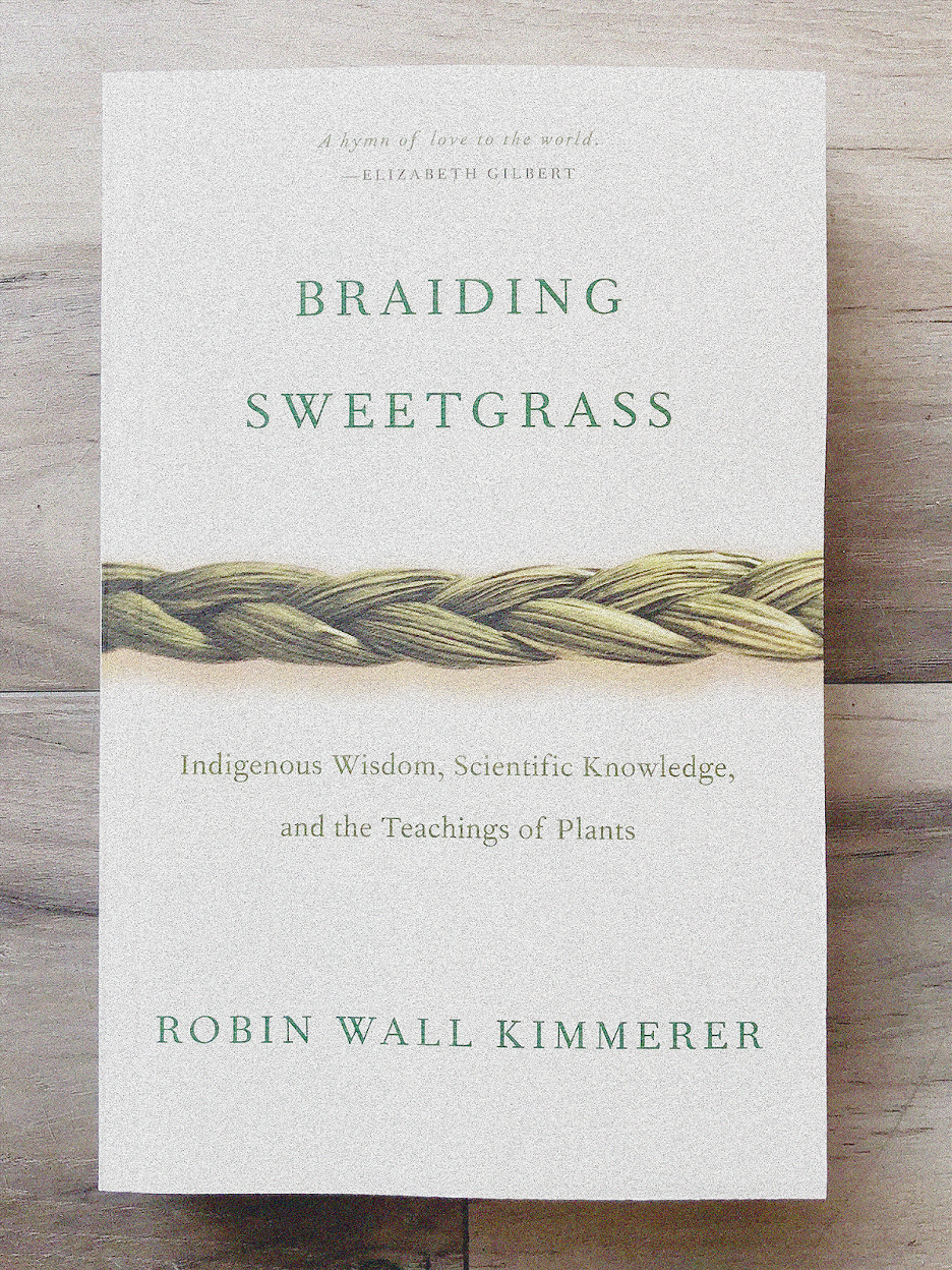 Book cover of Braiding Sweetgrass