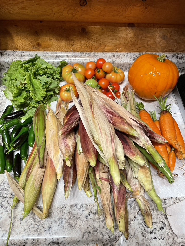 pile of various vegetables