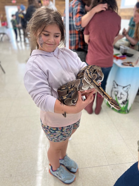 Girl holding a ball python snake, Puzzle