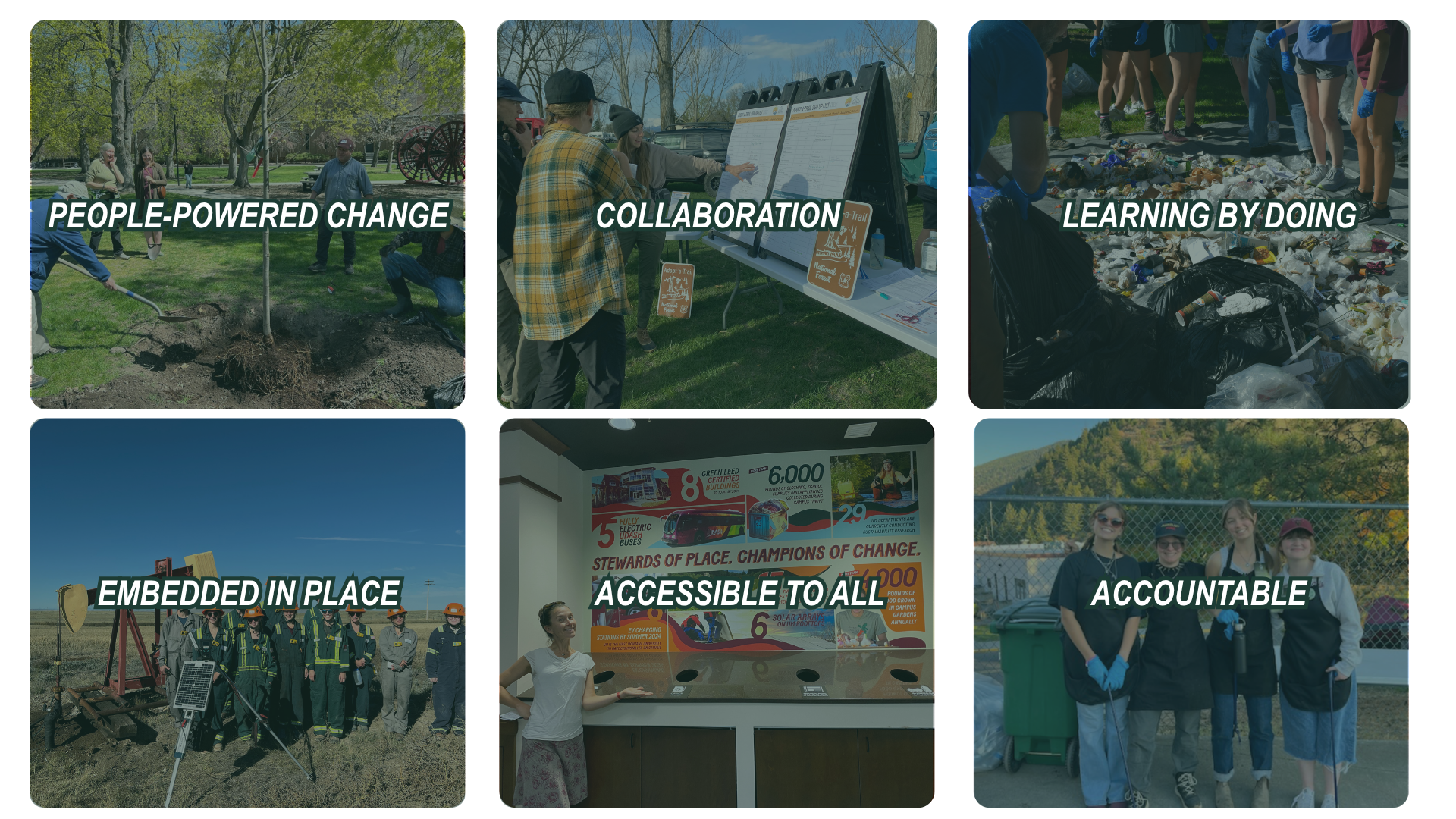 Six-photo collage of community and sustainability activities—tree planting, planning discussion, trash sorting, fieldwork, an accessibility exhibit, and a volunteer team photo—with overlaid values: “P