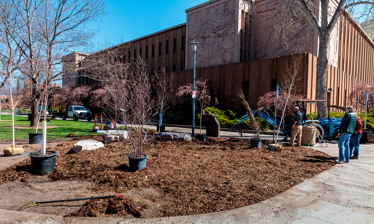 people doing irrigation work at mansfield library