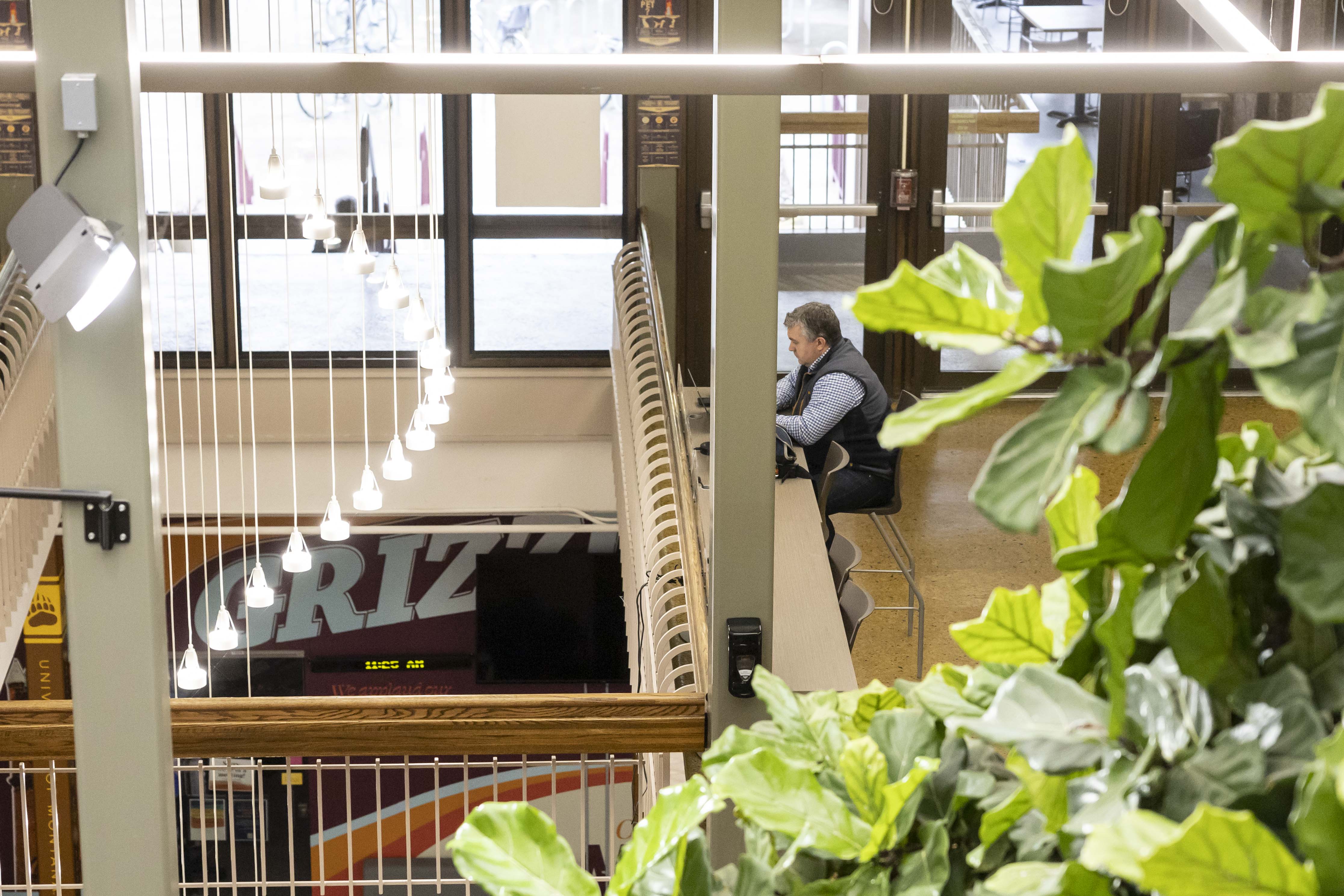 man sits in UC working with plants all around him and lights shining down