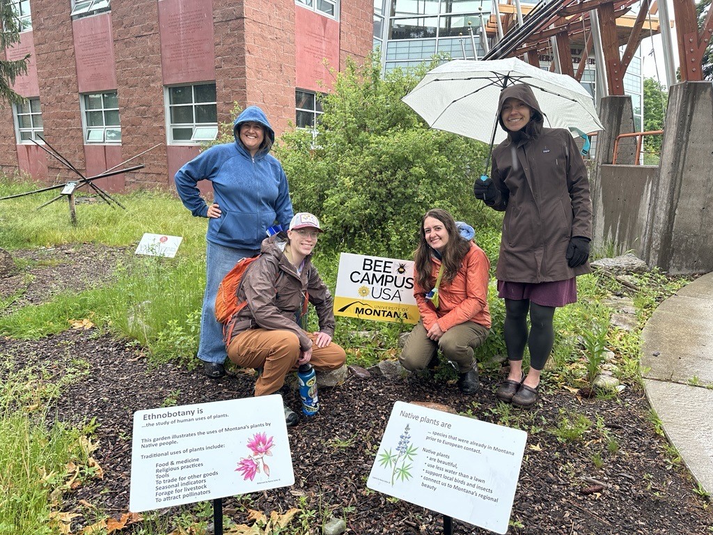 four women pose in the rainy ethnobotany garden with a sign that reads Bee Campus USA University of Montana