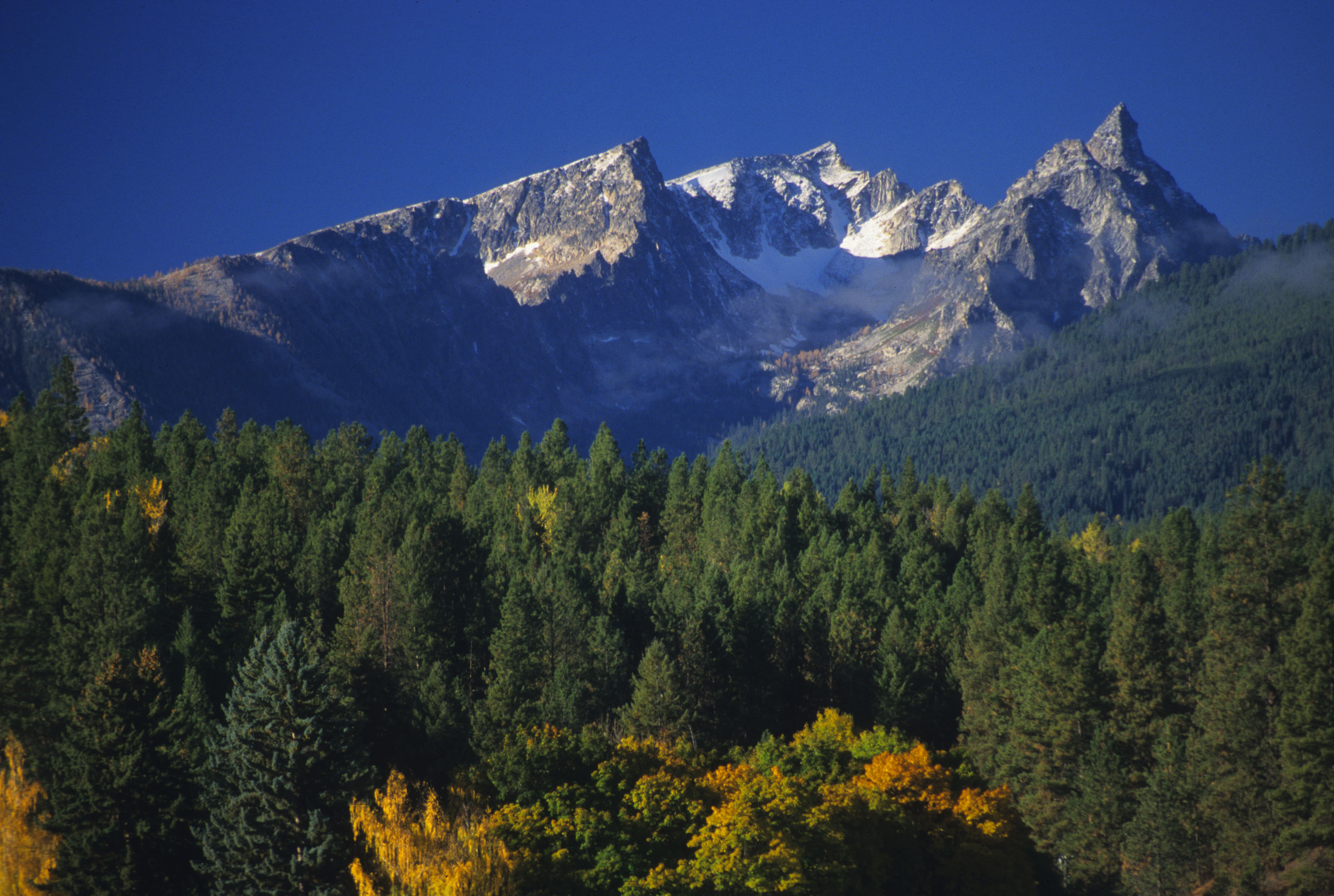 Southwest Montana Trapper Peak