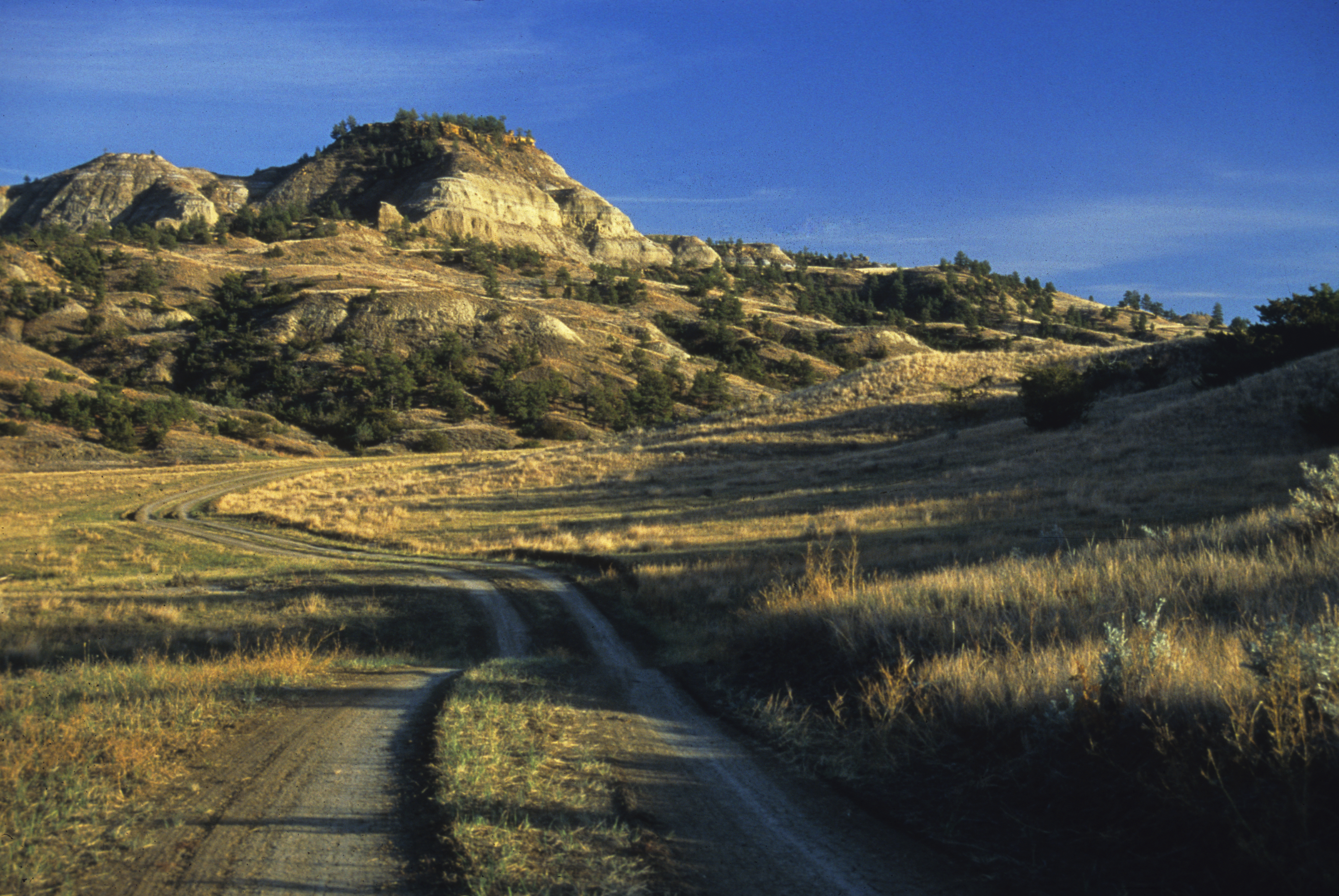 Montana's Lonesome Highway