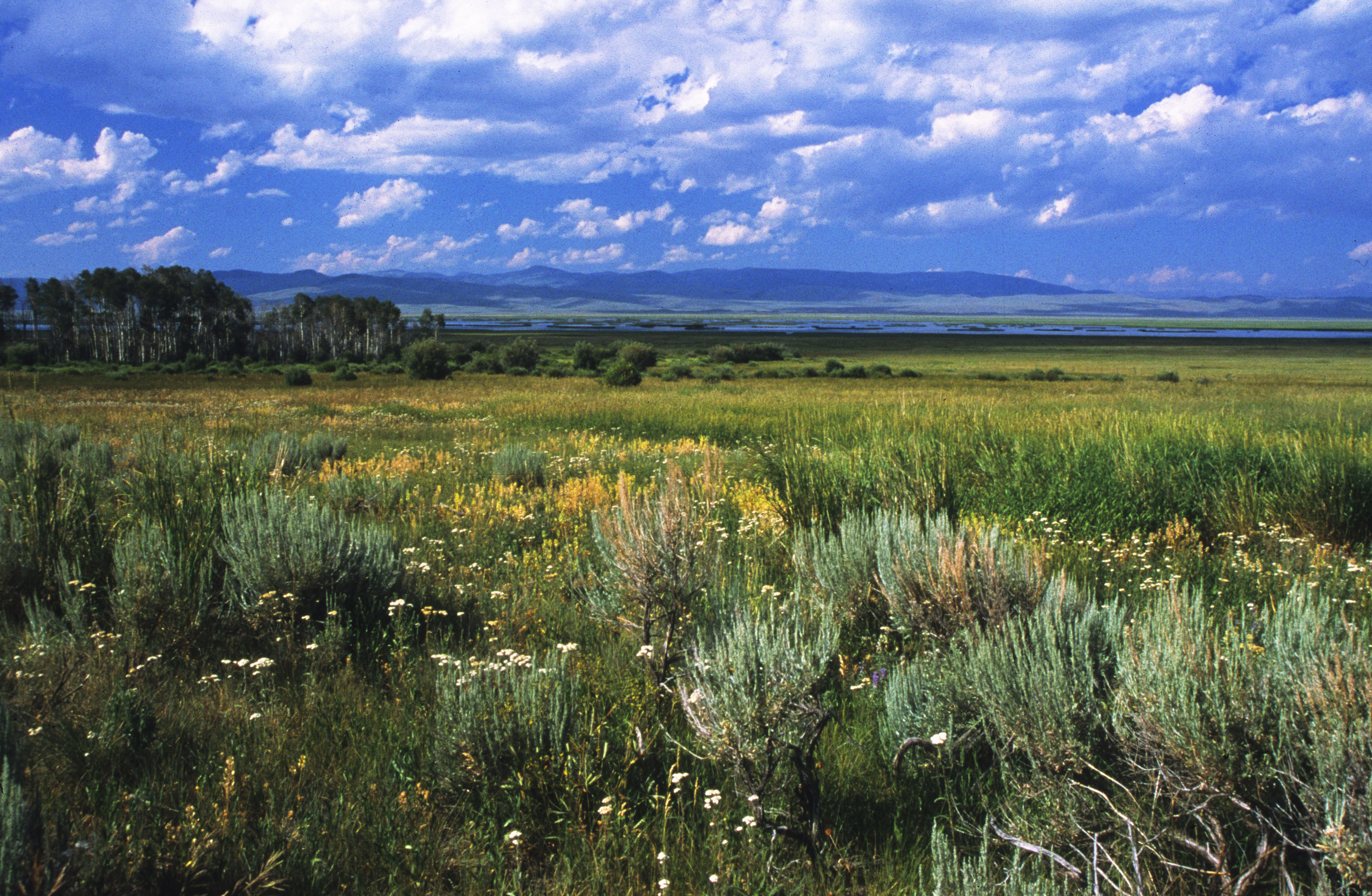 Centennial Valley Red Rocks Lake