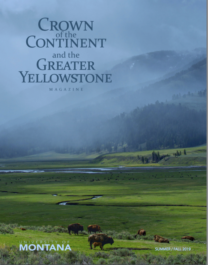 magazine cover featuring a foggy valley with bison