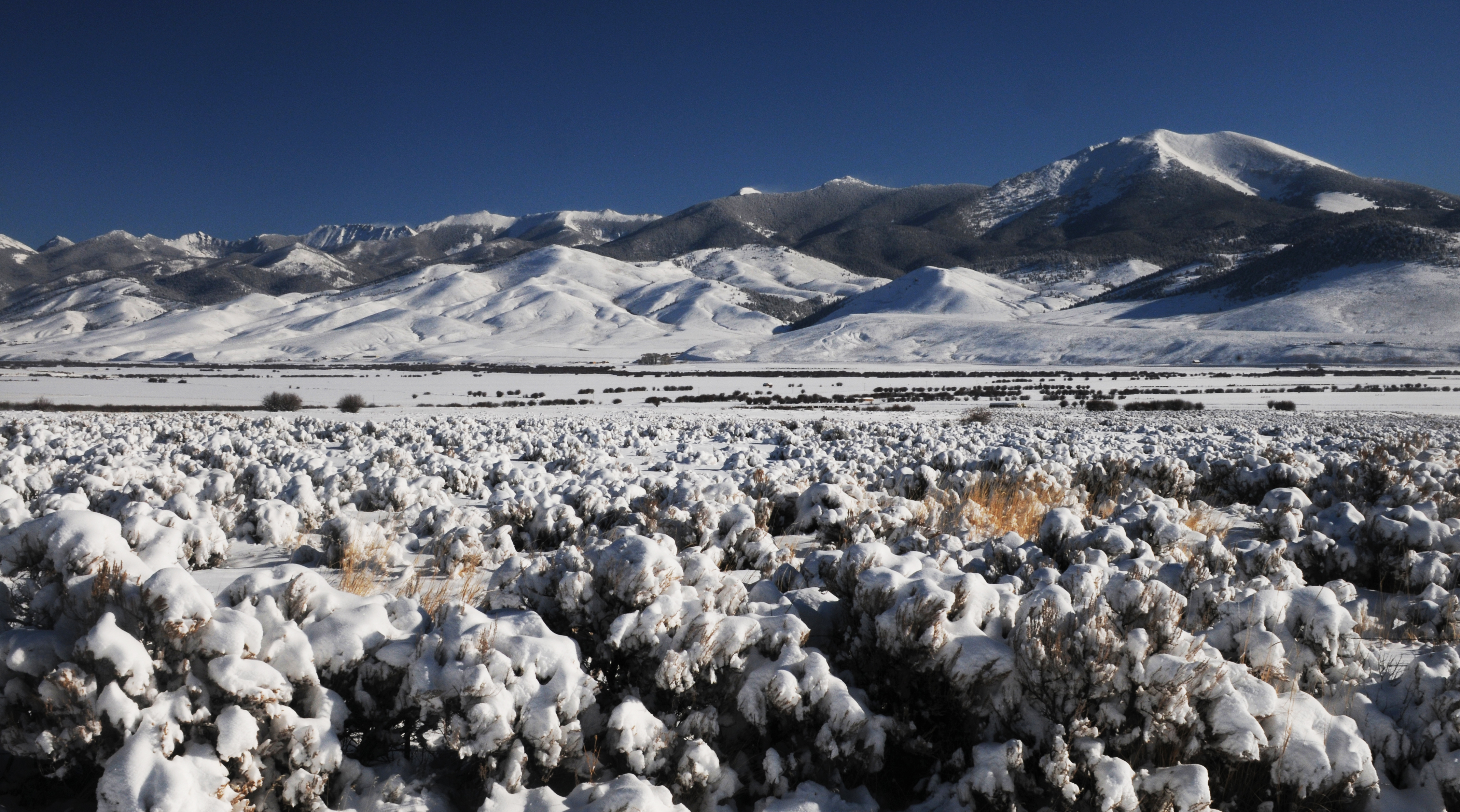 Grasshopper Creek Valley East Pioneer Mountains