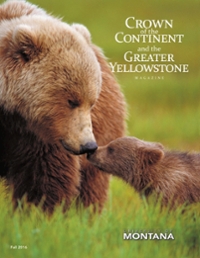 magazine cover featuring a bear cub touching noses with an adult bear