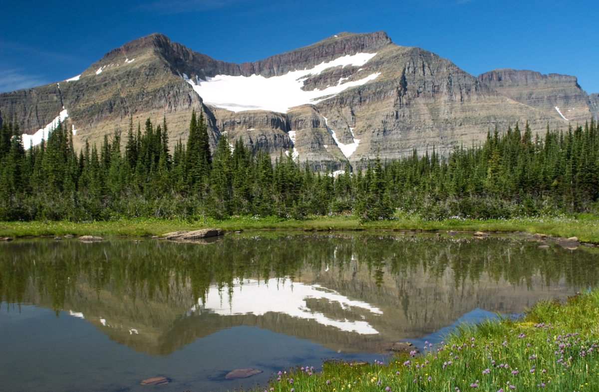 Water reflects Piegan Glacier in Glacier National Park.