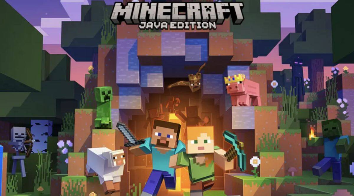 image of Minecraft game
