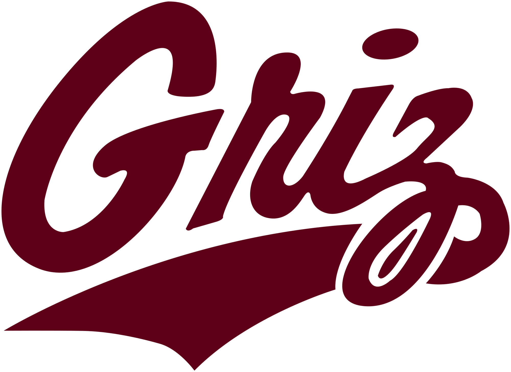 University of Montana's Logo