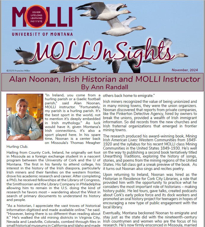 Cover of MOLLIinsights Newsletter