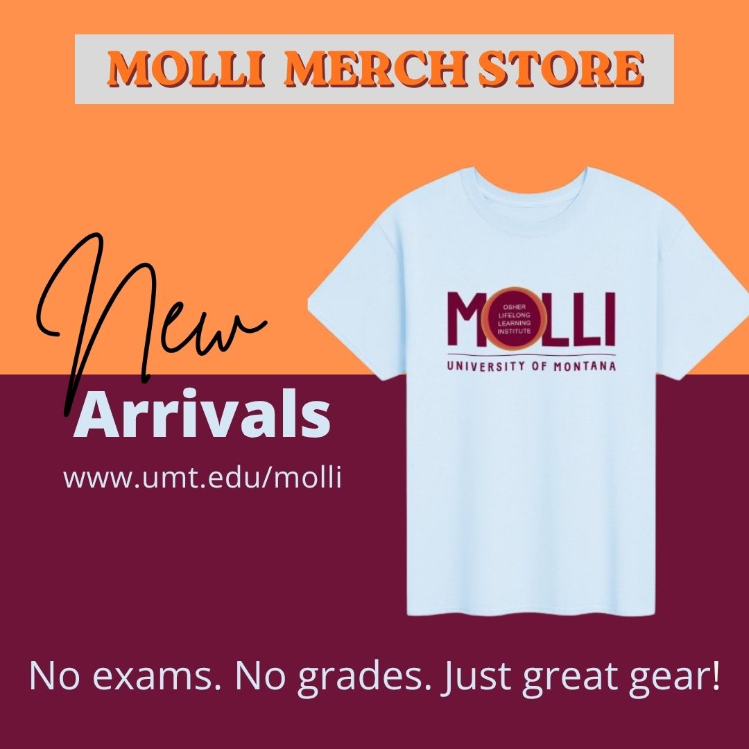 MOLLI logo t-shirt in blue