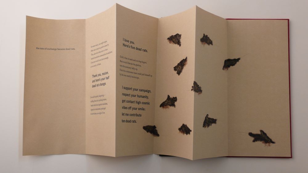 Photo of The Standard, a project by Harry and Sandra Reese.