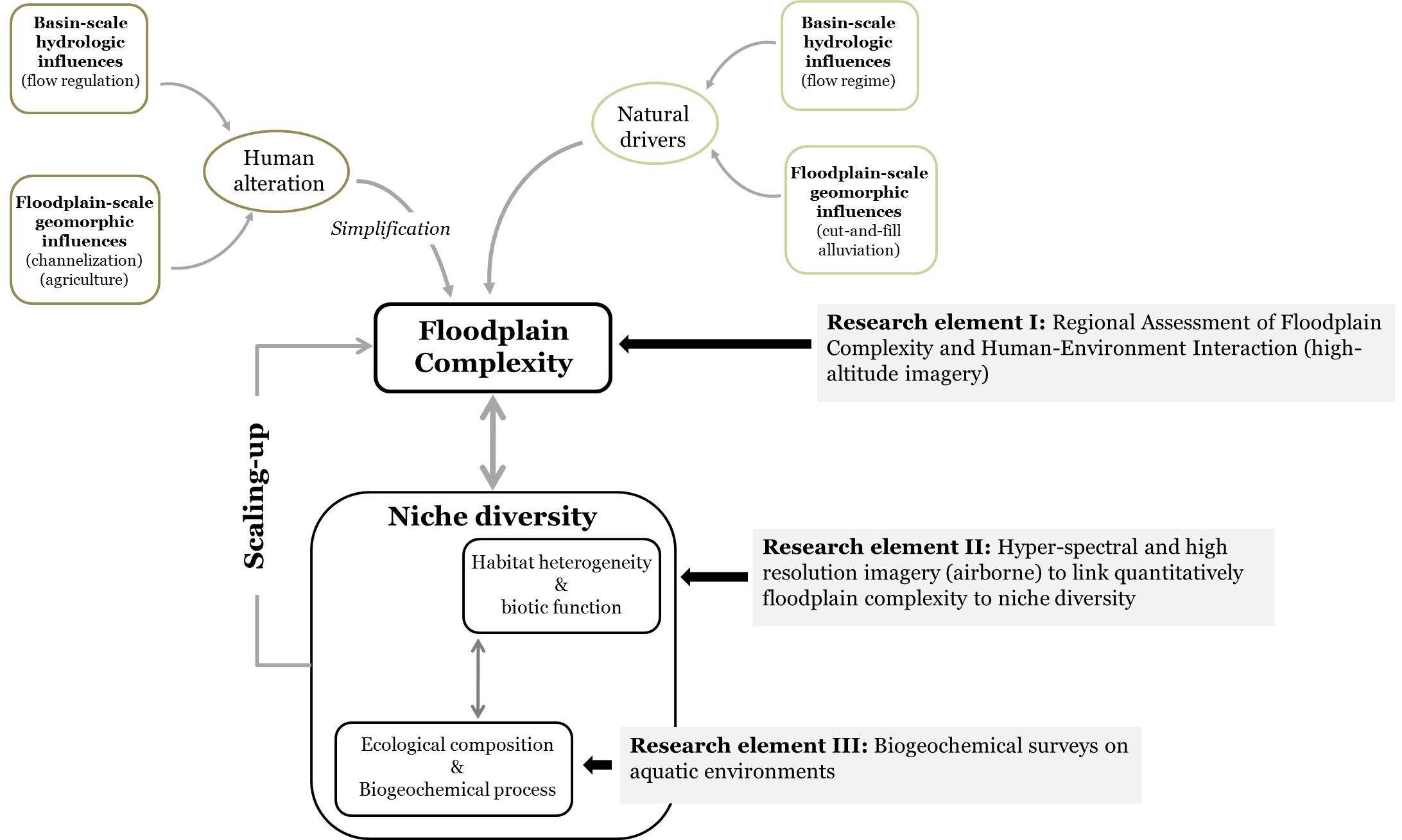 floodplain complexity chart