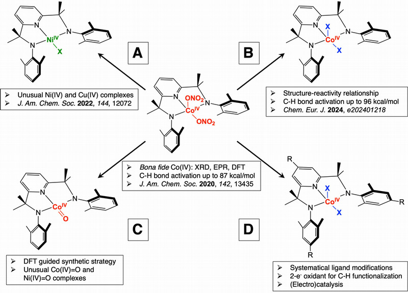 mononuclear
