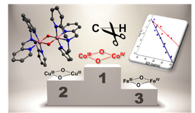 JACS TOC Figure