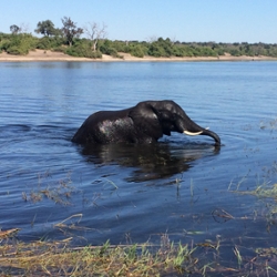 Water Security and Social-hydrological Resilience for Rural Small-scale Crop Value Chains in South Africa