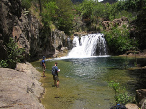 Fossil Creek
