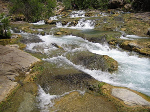 Fossil Creek