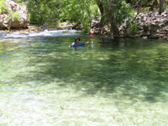 Fossil Creek