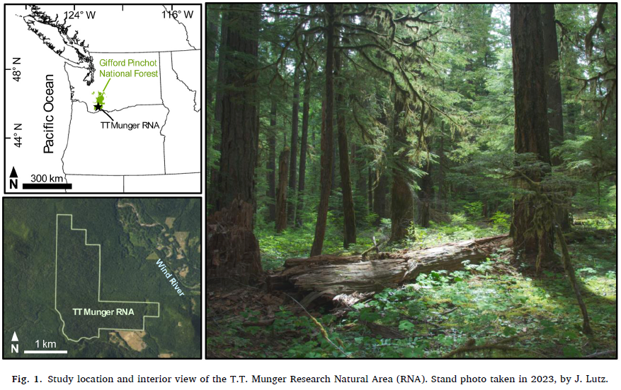 study location and interview view of T.T. Munger Research Natural Area