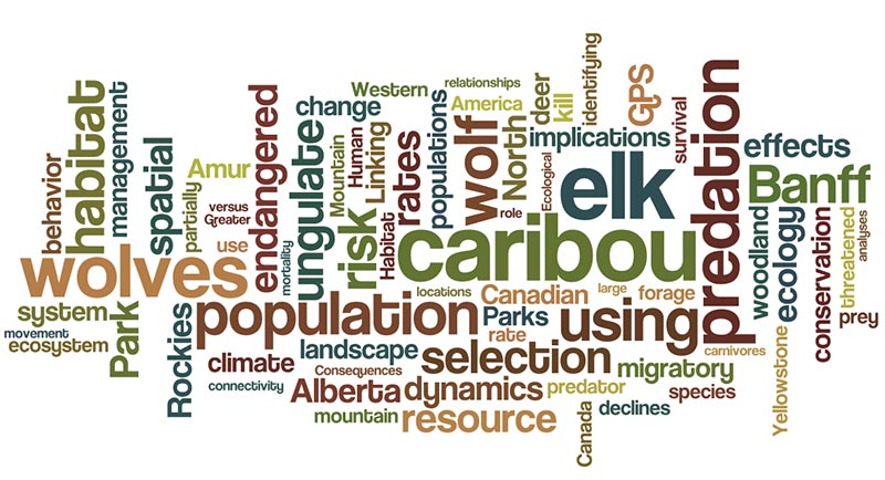 Word cloud highlighting key concepts related to caribou, wolves, and ecological dynamics.