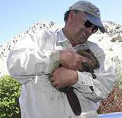 portrait of ed galindo