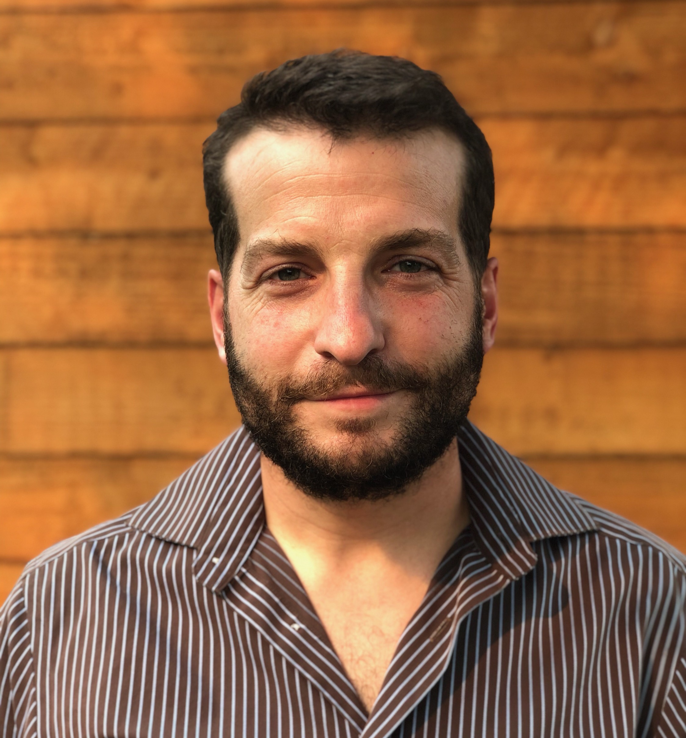 Marko Capoferri, MFA