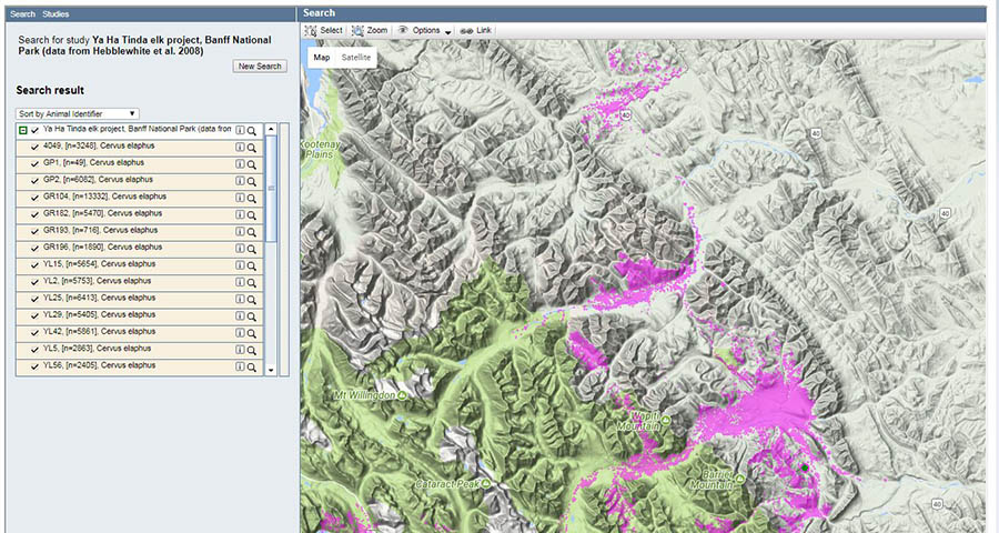 Map interface showing the search results for animal study data in Banff National Park, highlighting specific areas in pink.